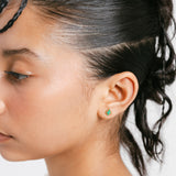 Cedar of Lebanon Enamel Studs