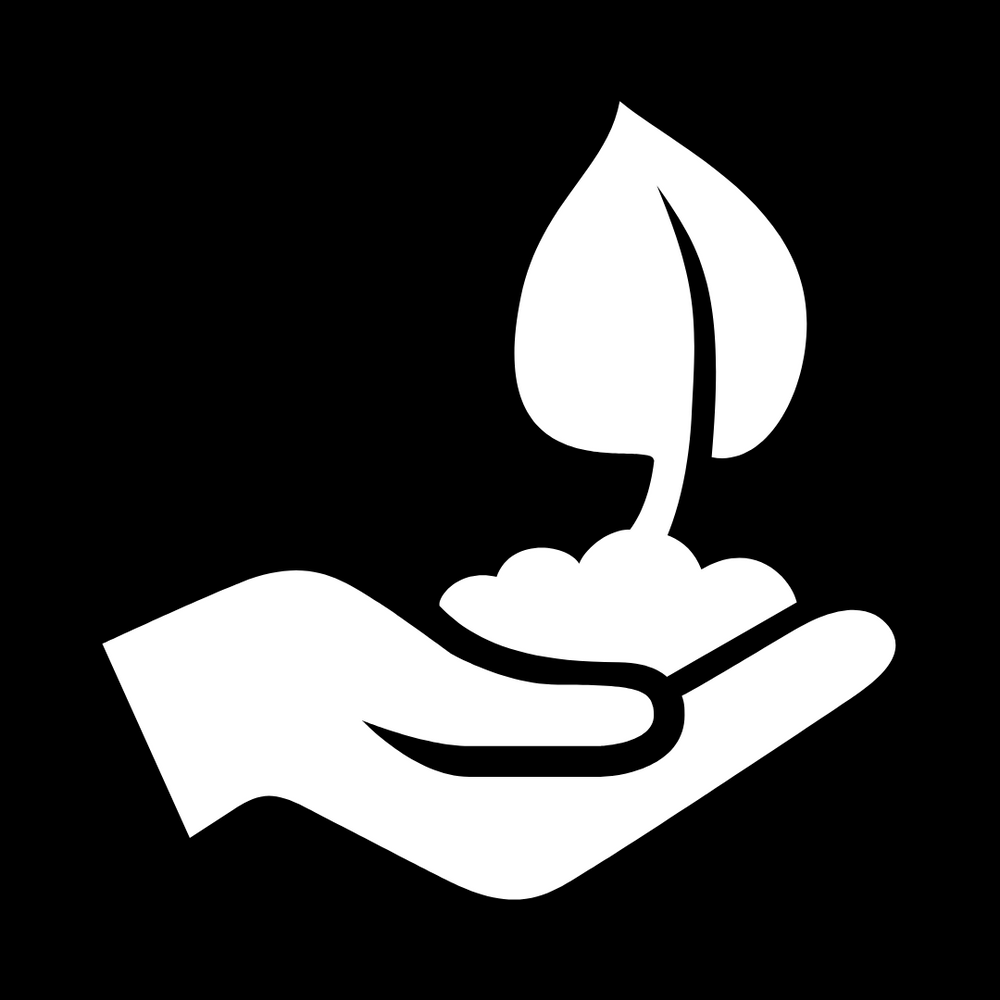 Allah's Promise When You Donate