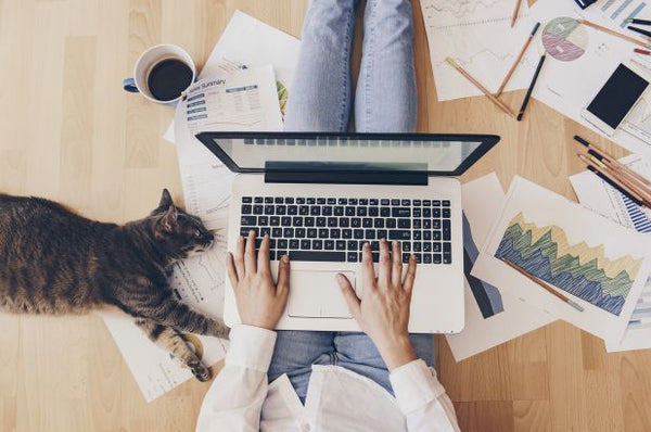 6 Tips to Productively Work From Home