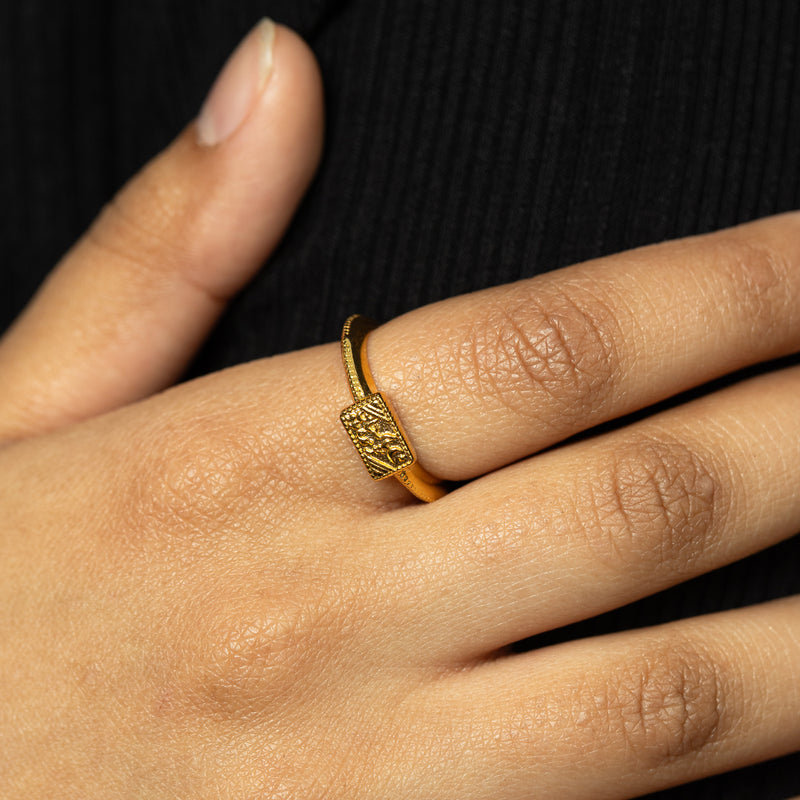 Close-up of the Pakistan Zindabad Ring on hand pimage_ highlighting the detailed Urdu engraving and beaded band texture.