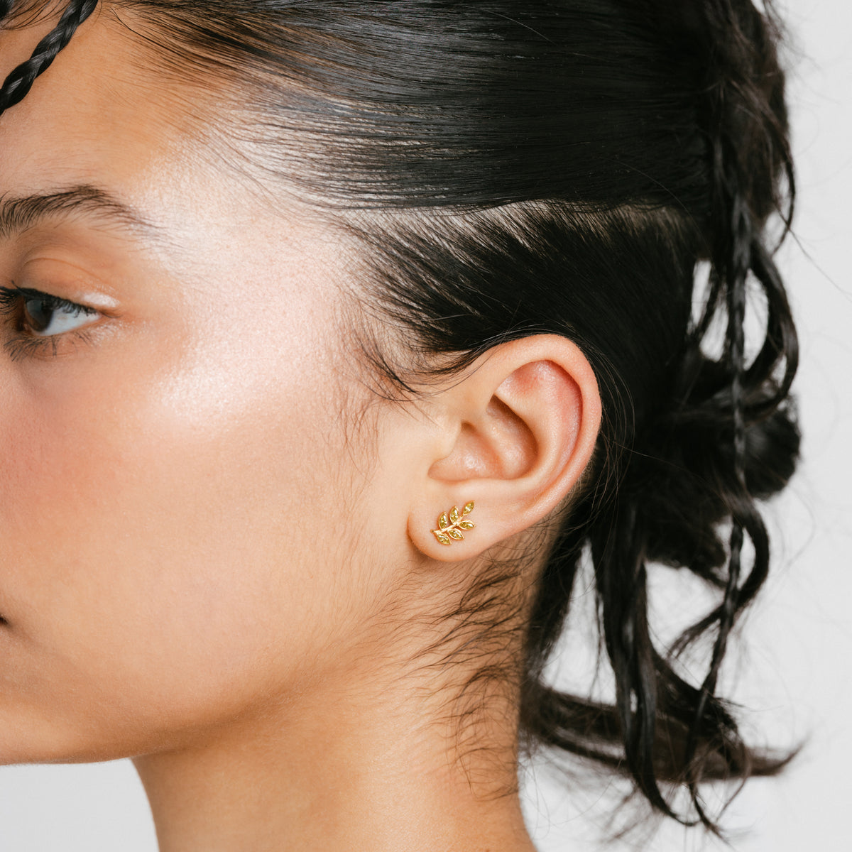 Palestinian Olive Branch Colored Studs