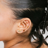 Palestinian Olive Branch Studs