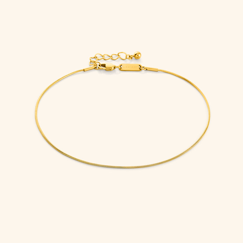 Micro Harmony Anklet
