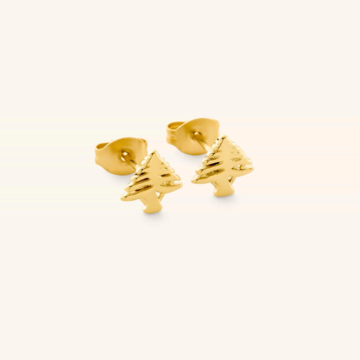 Cedar of Lebanon Studs