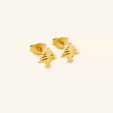 Cedar of Lebanon Studs