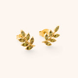 Palestinian Olive Branch Colored Studs