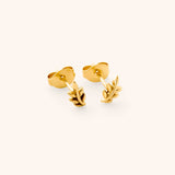 Palestinian Olive Branch Studs