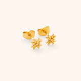 Tatreez Studs