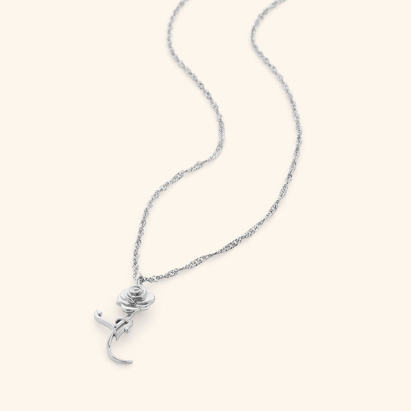 Flat lay of silver Jaan Rose necklace
