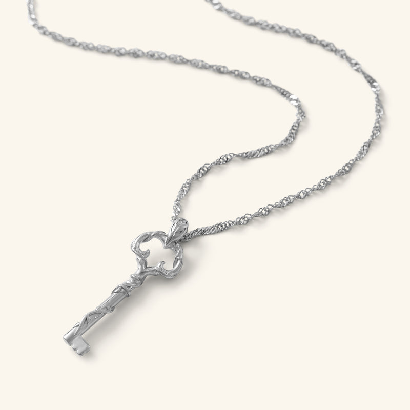 Silver Palestine Key of Return Necklace featuring a textured key-shaped pendant on a twisted chain pimage_ shown against a neutral background.