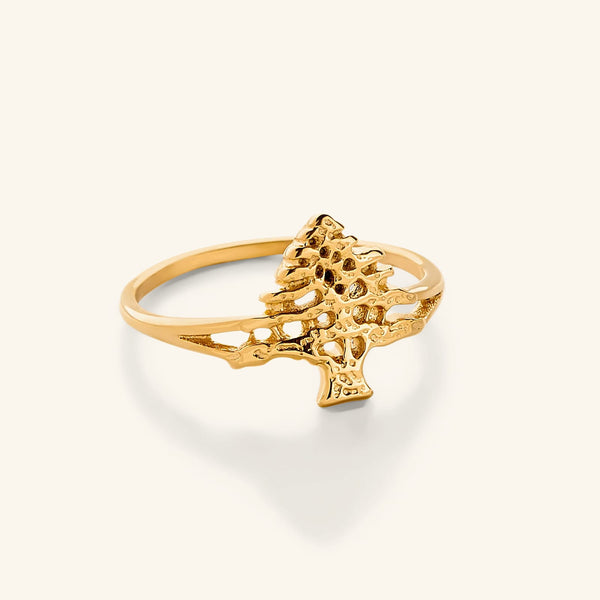 Cedar of Lebanon Ring