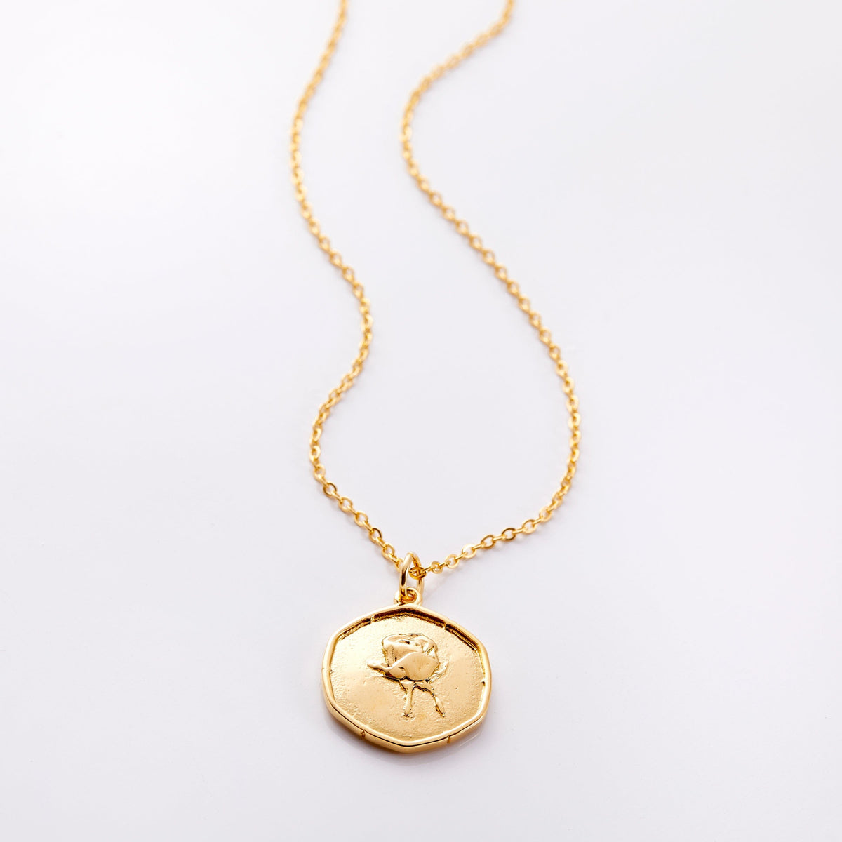 Photo of an 18k golf plated necklace with a pendant that is molded with an imperfect finish, the June Birth Flower is a rose to represent love and beauty.
