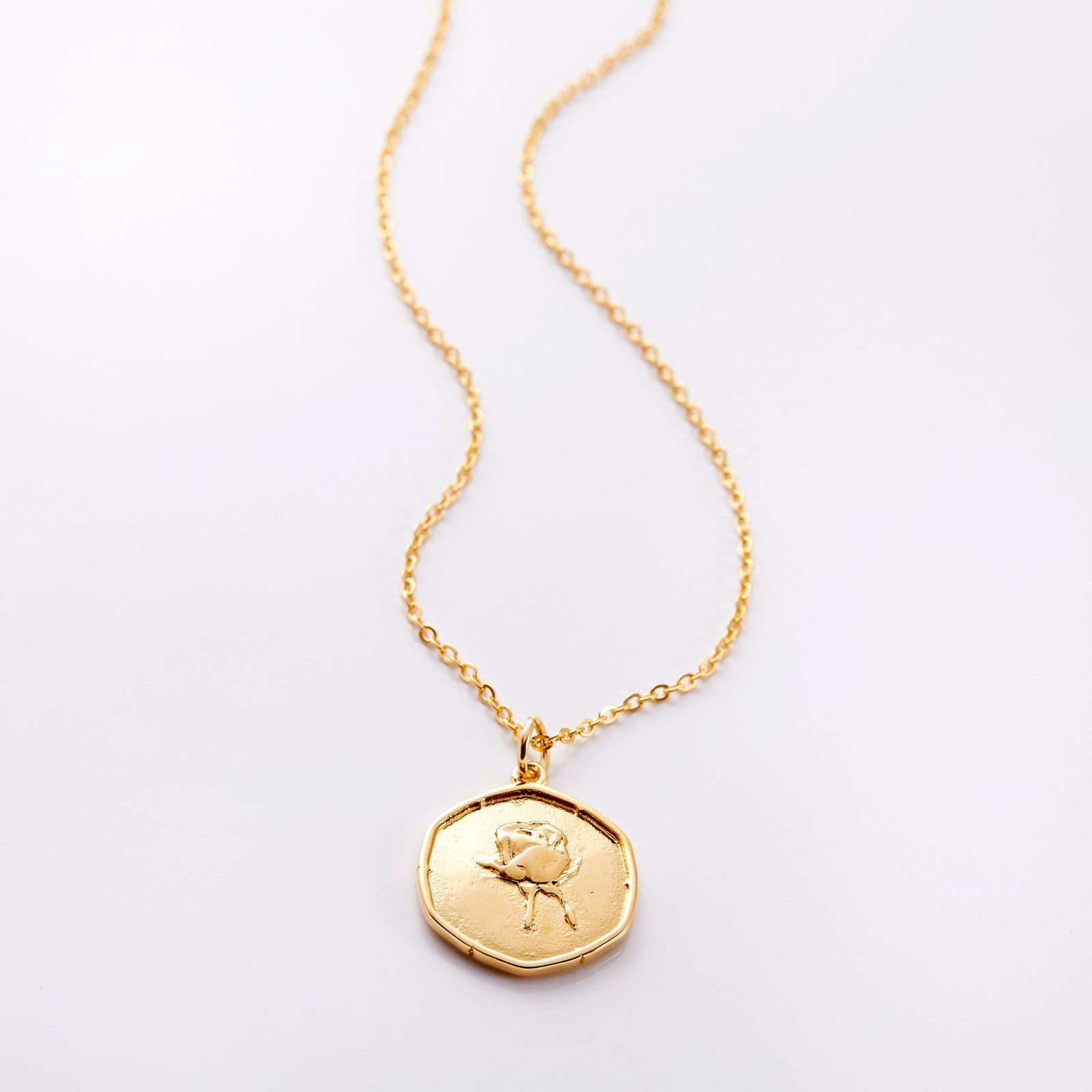 Photo of an 18k golf plated necklace with a pendant that is molded with an imperfect finish, the June Birth Flower is a rose to represent love and beauty.