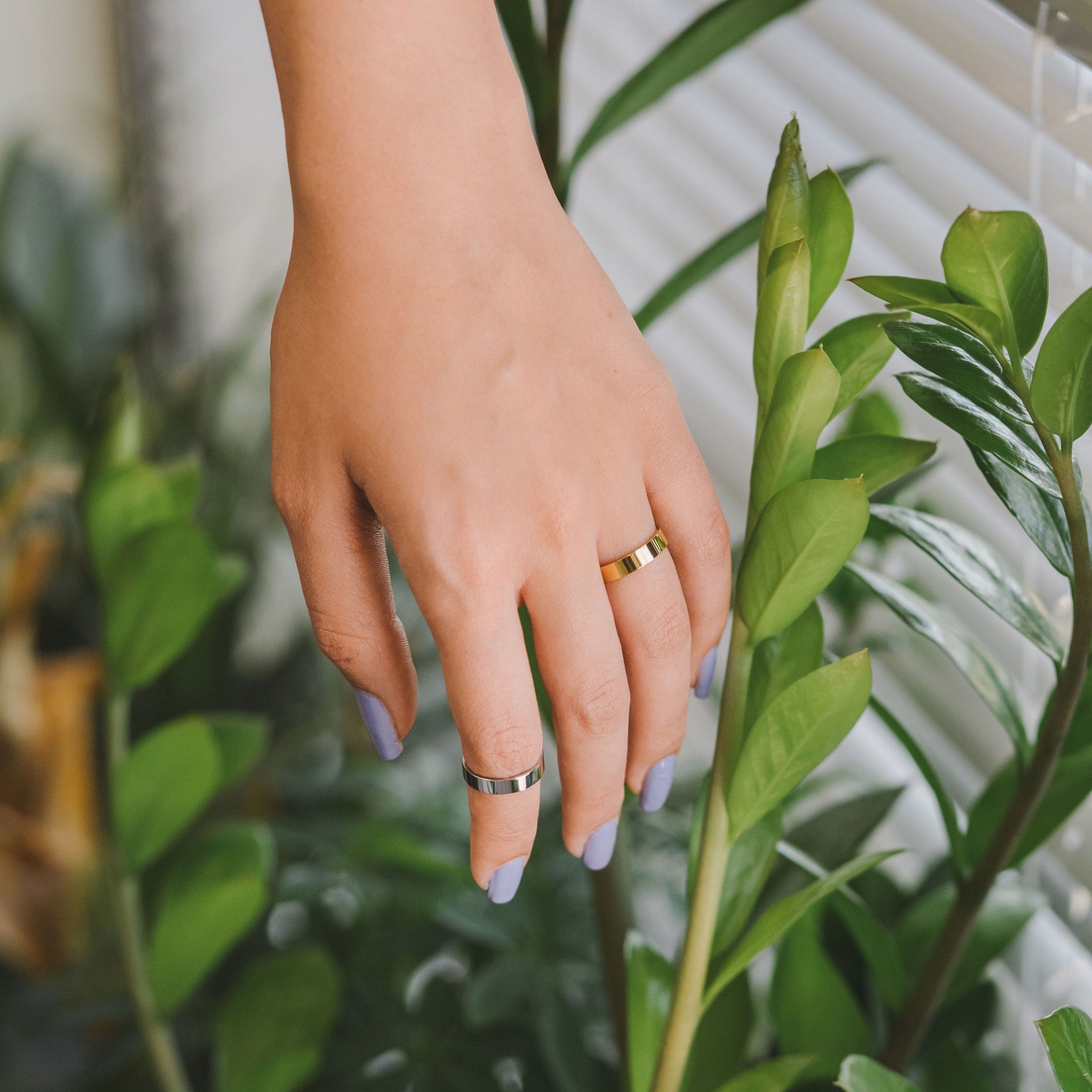 Close-up of a hand wearing gold and silver band rings, held near green houseplants.