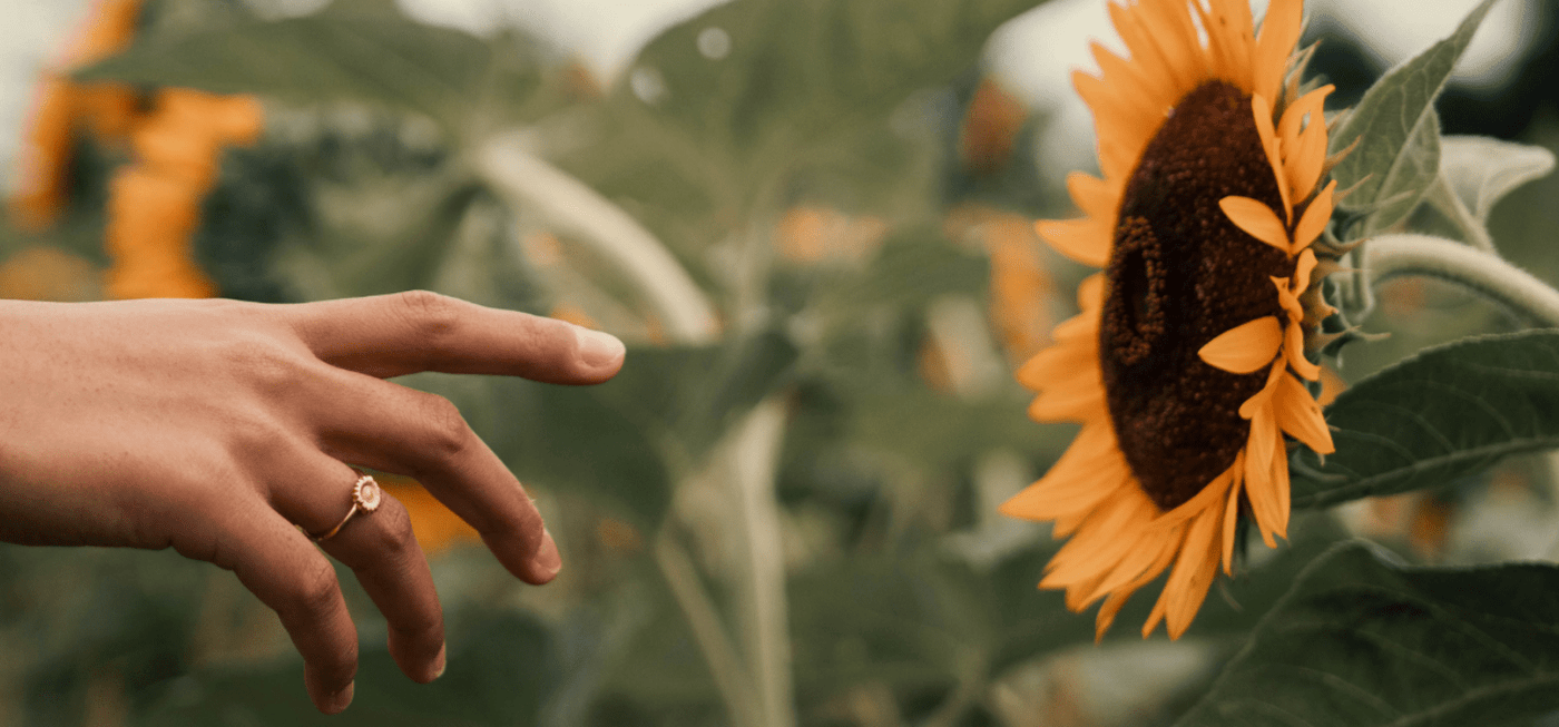 Hand wearing a gold sunflower ring reaching toward a blooming sunflower in a garden setting
